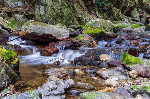 静岡県浜松市　秋の仙厳の滝　渓谷 日本,静岡県,浜松市の写真素材