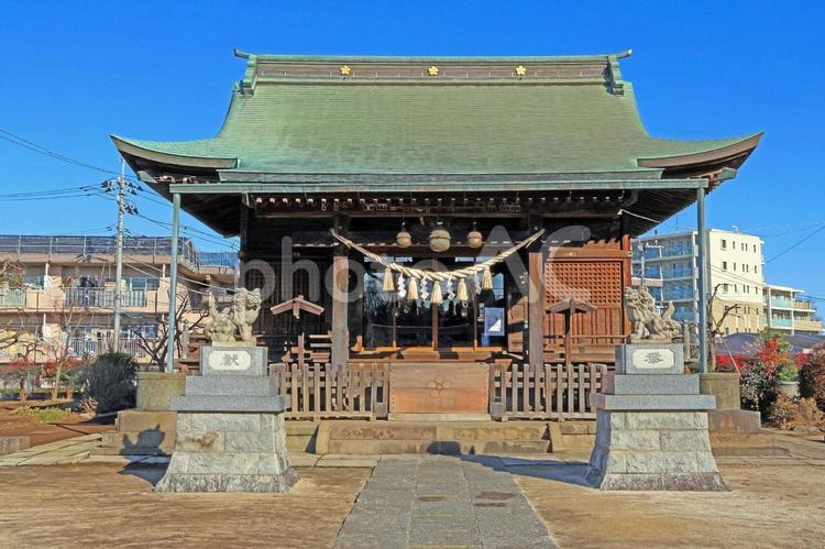 成増菅原神社（板橋） 菅原神社,菅原道真公,旧村社の写真素材