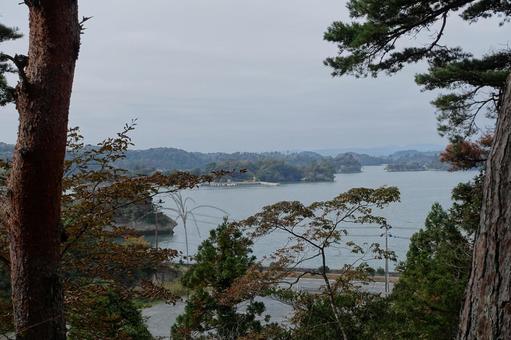 曇天の日本三景松島、秋（大高森壮観より） 日本三景松島,曇天,大高森の写真素材