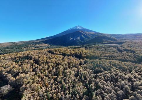 富士山と樹海を超広角撮影2 富士山,青空,日本の写真素材
