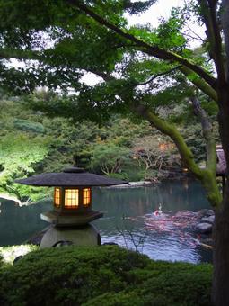 Japanese garden, bahçe, mahkeme, oldukça, JPG