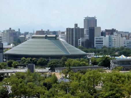 【風景写真】広島城天守閣からの眺め 広島城,天守閣,木々の写真素材