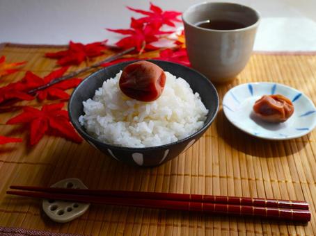 白いご飯と梅干し.1 白いご飯と梅干し.1の写真