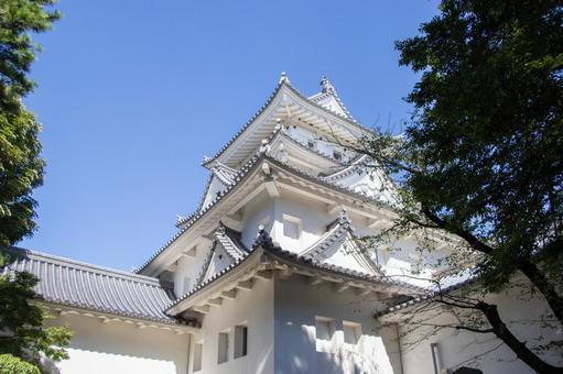 大垣城 大垣城,天守閣,城の写真素材