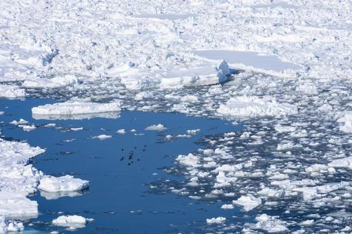 オホーツク海を流れる流氷群 流氷,流氷原,氷の写真素材