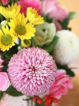 フラワーアレンジ　ピンポンマムなど フラワーアレンジ,花,植物の写真素材