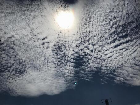 秋の雲 秋の雲の写真
