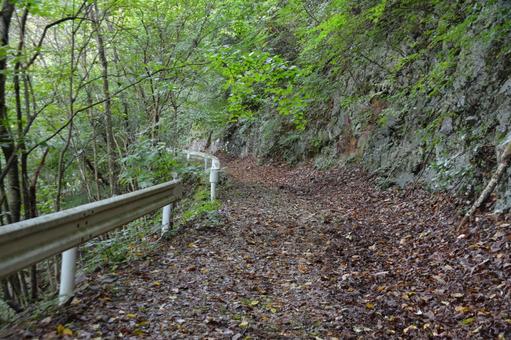 荒れた林道 林道,山道,道の写真素材
