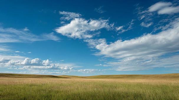 空と草原 空と草原の写真