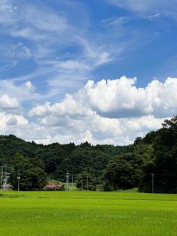 田舎の夏空 田舎の夏空 夏の雲,空,空模様の写真素材
