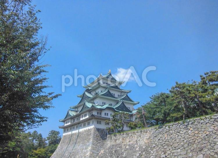 【愛知県】名古屋城天守閣 名古屋城,名古屋,愛知県の写真素材