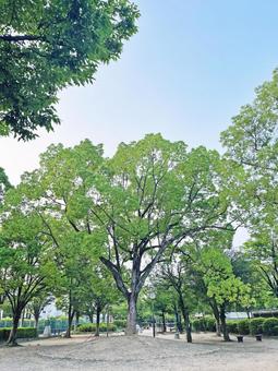 駅前の公園 駅前の公園の写真