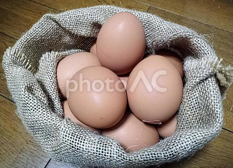 たくさんの卵　赤玉 卵,玉子,食べ物の写真素材