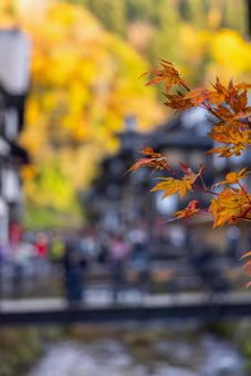 紅葉の旅行 もみじ,旅行,旅の写真素材