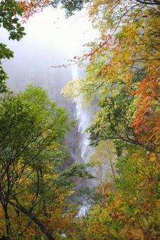 Photo, shinshu, suzaka, yonago waterfall, 