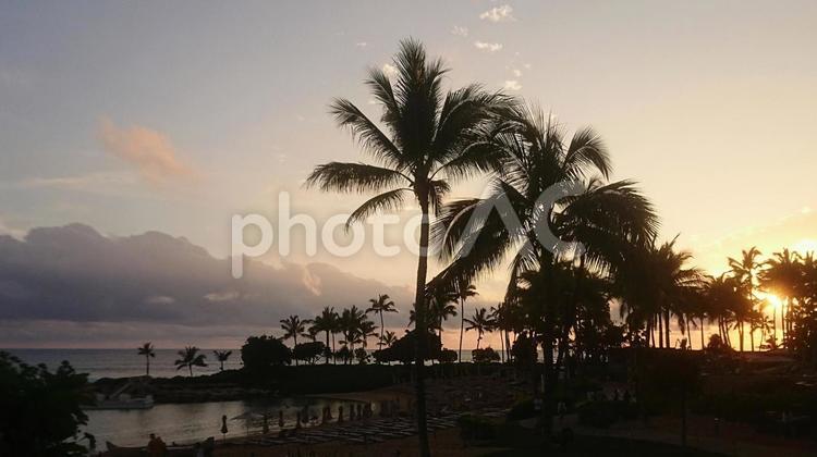 ハワイ  夕暮れ ハワイ,夕暮れ,夕日の写真素材