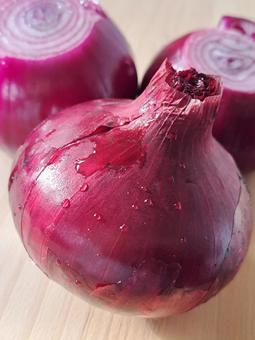 紫玉ねぎの写真