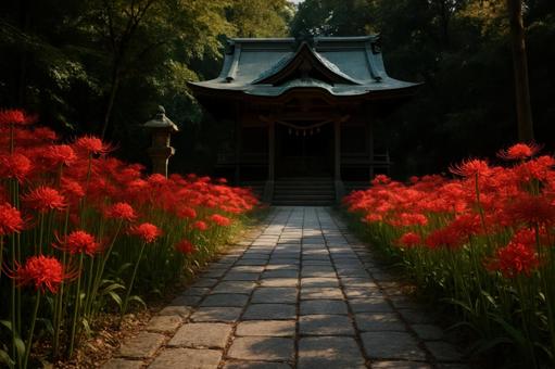 神社の参道に咲く彼岸花 神社の参道に咲く彼岸花の写真