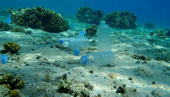 違法廃棄されたペットボトル 違法廃棄されたペットボトルの写真