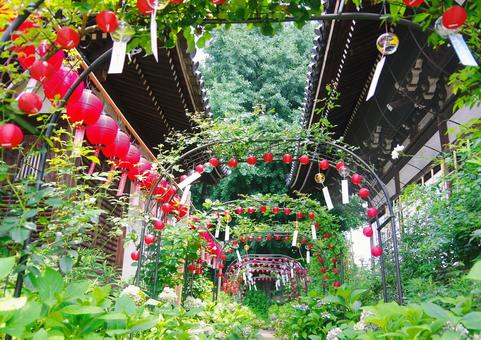 奈良県 おふさ観音 奈良県 おふさ観音 奈良,おふさ観音,風鈴寺の写真素材