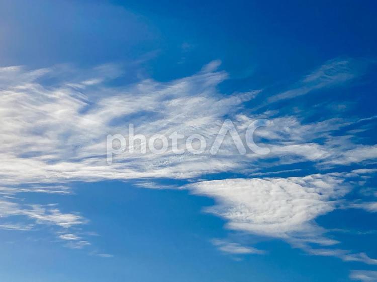 雲　空　青空　白雲 雲,空,青空の写真素材