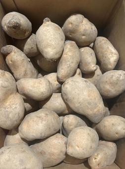 山積みじゃがいも 野菜,ベジタブル,食物繊維の写真素材