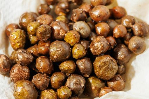 収穫した自然薯の蔓に生えたムカゴの写真