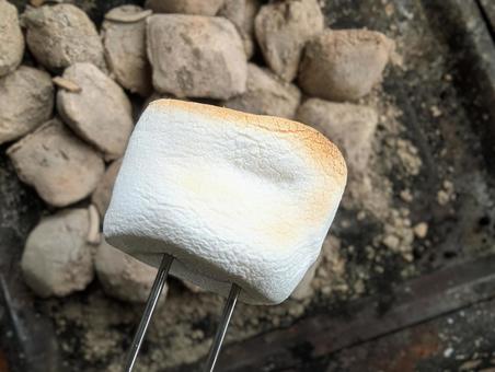 焼きマシュマロ8 焼きマシュマロ8 マシュマロ,お菓子,バーベキューの写真素材