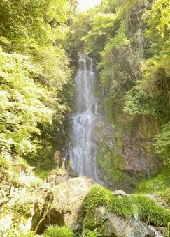 佐賀県小城市の清水の滝 佐賀県小城市の清水の滝の写真