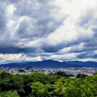 景色 景色 福岡,福岡市植物園,夏の写真素材