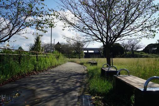 公園の風景 公園の風景 公園,広場,晴れの写真素材