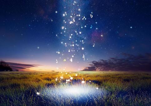 星の歌が降りそそぐ草原 星の歌が降りそそぐ草原の写真