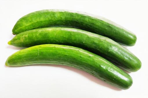 きゅうり きゅうり 野菜,きゅうり,胡瓜の写真素材