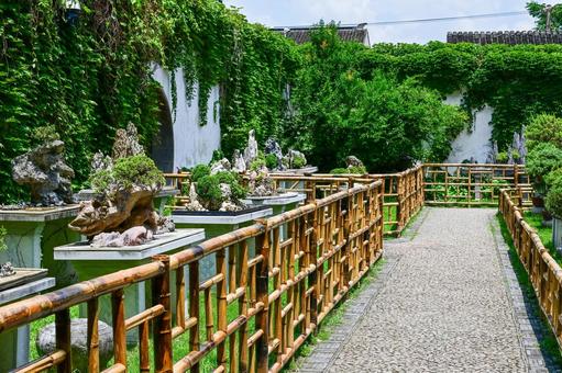 Photo, suzhou, lingering garden, world heritage, 