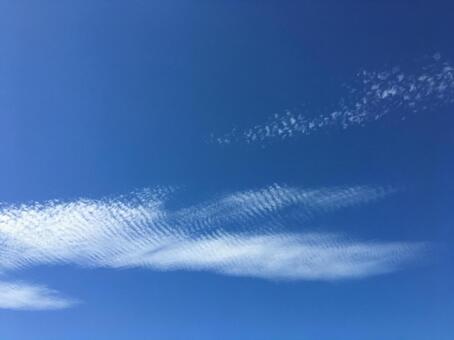 秋の空 秋の空の写真