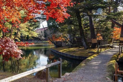 秋の有備館⑷ 有備館,秋,紅葉の写真素材
