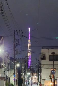 下町の路地から見える夜のスカイツリーの写真