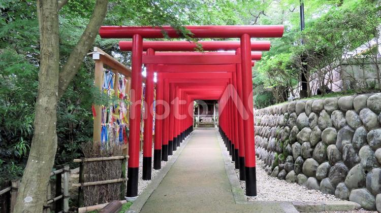 法多山尊永寺敷地内　双葉神社の赤鳥居 赤鳥居,初夏,新緑の写真素材