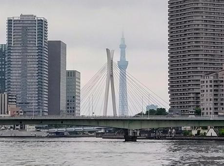 東京スカイツリー 東京スカイツリー 東京スカイツリー,東京,観光の写真素材