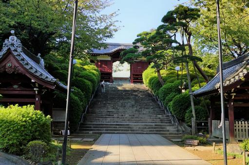 護国寺の不老門 護国寺の不老門の写真