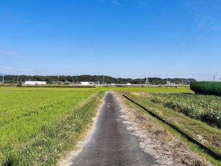 三重県鈴鹿市中冨田町　秋の農道と田園風景 田園風景,田圃,田畑の写真素材