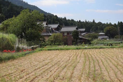 稲刈りの終わった田んぼのある農村と山と空 稲刈り,終わった,田んぼの写真素材