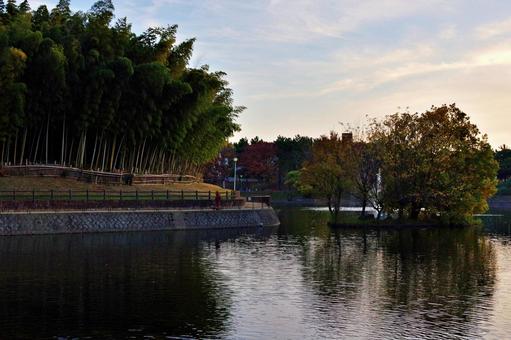 公園の夕景 夕景,たそがれ,夕空の写真素材