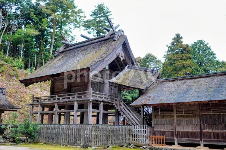 松江・日本最古の大社造の神魂神社 神魂神社,国宝,文化財の写真素材