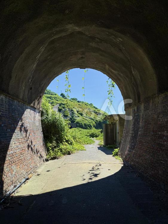信越本線の廃トンネル 信越本線,廃トンネル,山にのまれるの写真素材