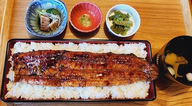 鰻重 鰻重 鰻,鰻重,特上の写真素材