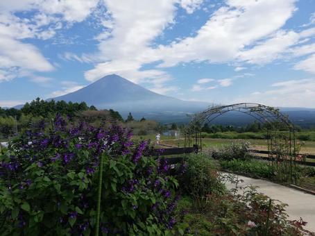 富士山4 富士山,青空,雲の写真素材