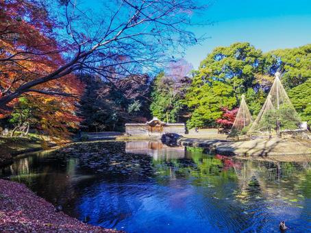 【東京都】文京区・小石川後楽園 【東京都】文京区・小石川後楽園 小石川後楽園,紅葉,水道橋の写真素材