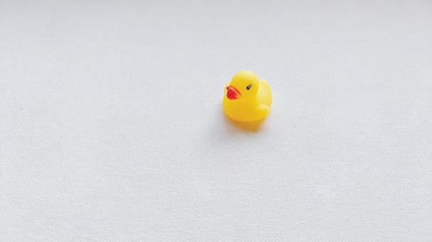 ひよこ(斜め前・1匹・よこ) ひよこ(斜め前・1匹・よこ)の写真