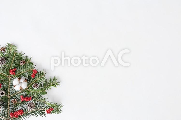 もみの木と木の実のクリスマスイメージ背景 クリスマス,ツリー,メリークリスマスの写真素材